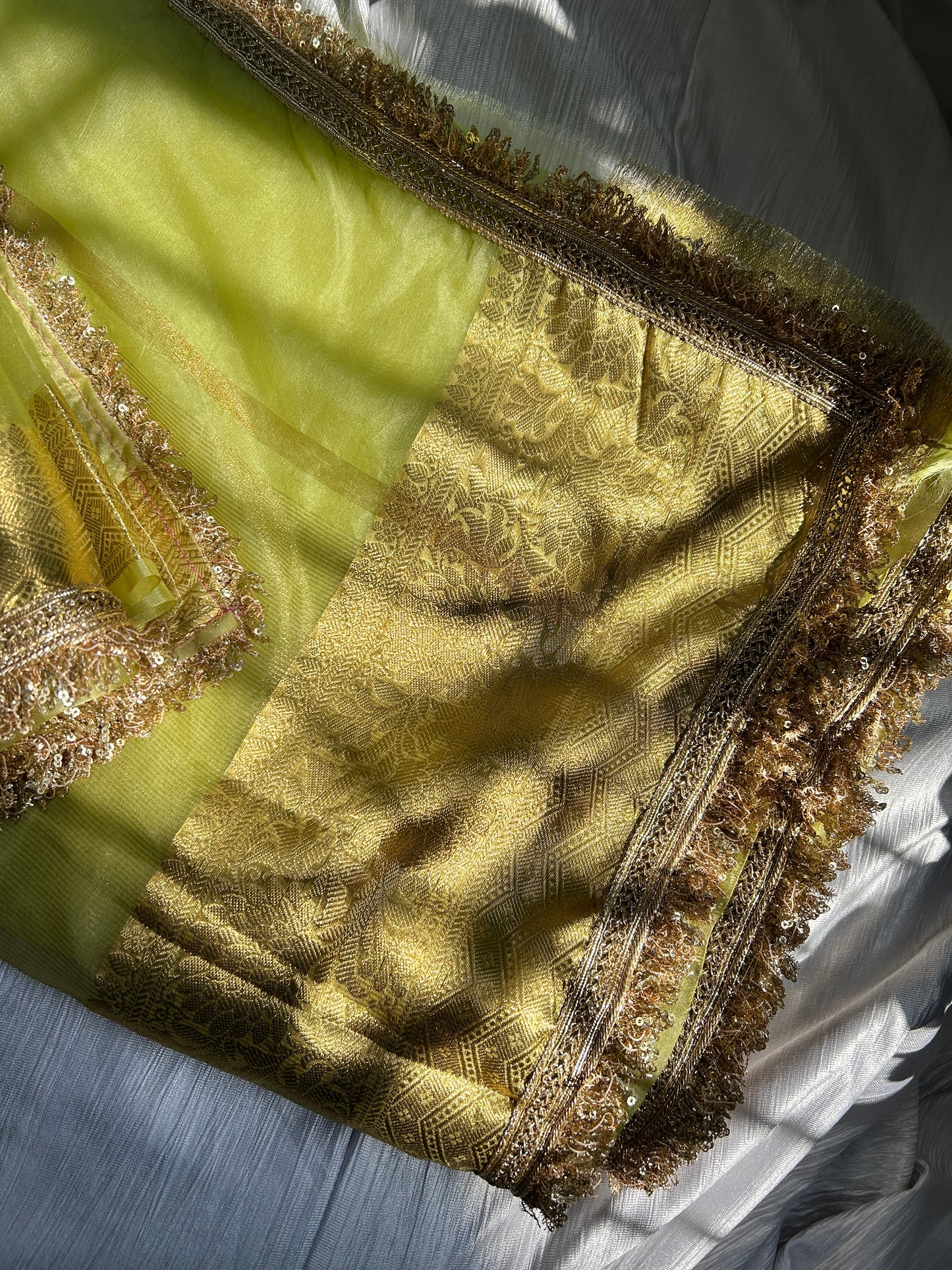 Roshanara Tissue Silk Saree (Pastel Green)