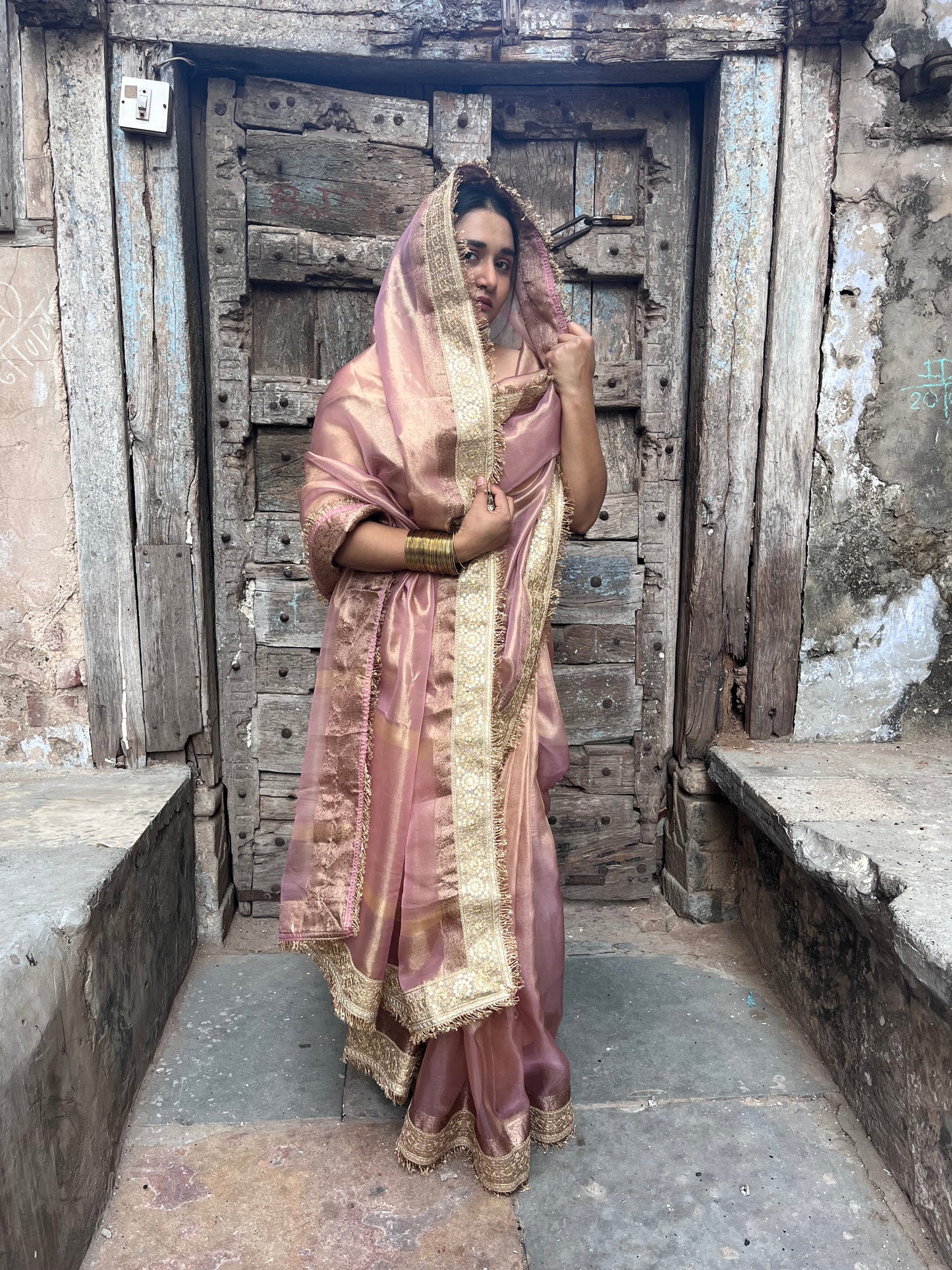 Zarreen Gulab Tissue Silk Saree